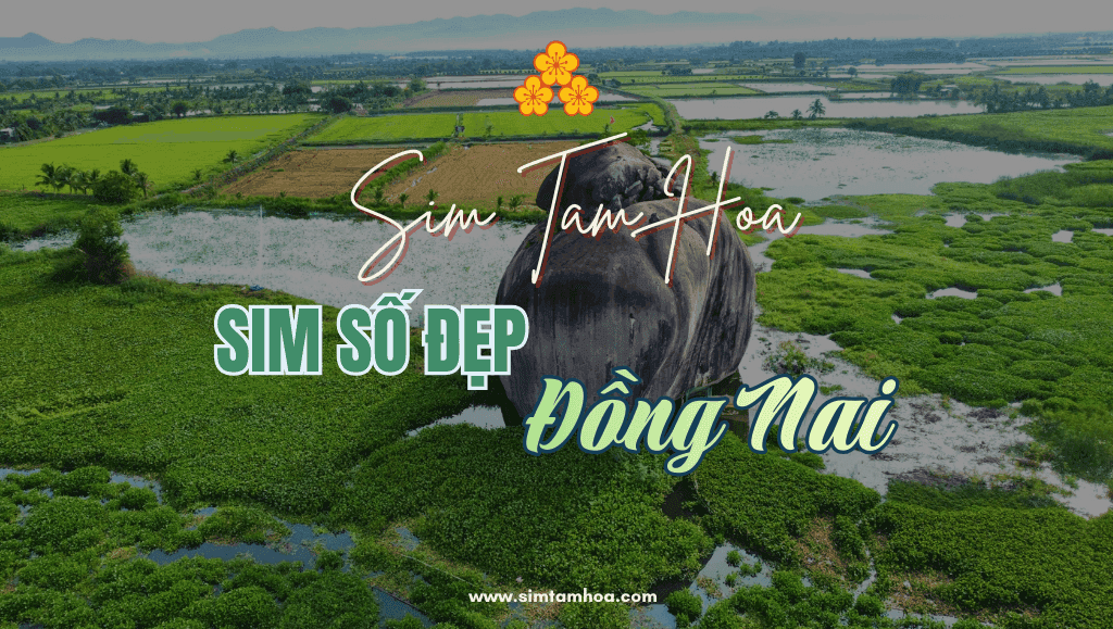 Điểm Danh Những Dòng Sim Số Đẹp Được Ưa Chuộng Nhất Tại Đồng Nai