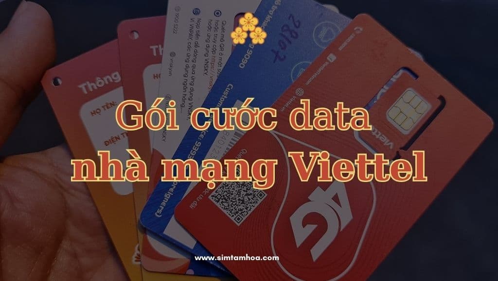 Gói cước data Viettel nào đáng dùng nhất? Cách chọn gói tiết kiệm mà vẫn đủ data