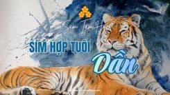 Khám Phá Những Dòng Sim Hợp Tuổi Dần Đem Lại Vận Khí Cao