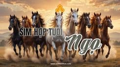 Nhận Diện 4 Nhóm Sim Hợp Tuổi Ngọ Phù Hợp Theo Mục Tiêu Thực Tế