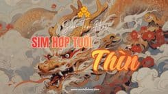 Tham Khảo 2 Công Thức Chọn Sim Hợp Tuổi Thìn Chuẩn Nhất Hiện Nay
