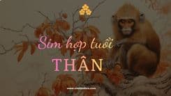 Đừng vội mua sim nếu chưa hiểu rõ thế nào là sim hợp tuổi Thân