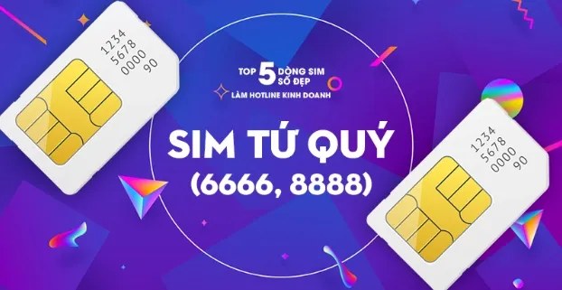 Sim tứ quý và ý nghĩa của từng con số