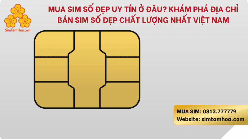 Mua Sim Số Đẹp Uy Tín Ở Đâu? Khám Phá Địa Chỉ Bán Sim Số Đẹp Chất Lượng Nhất Việt Nam