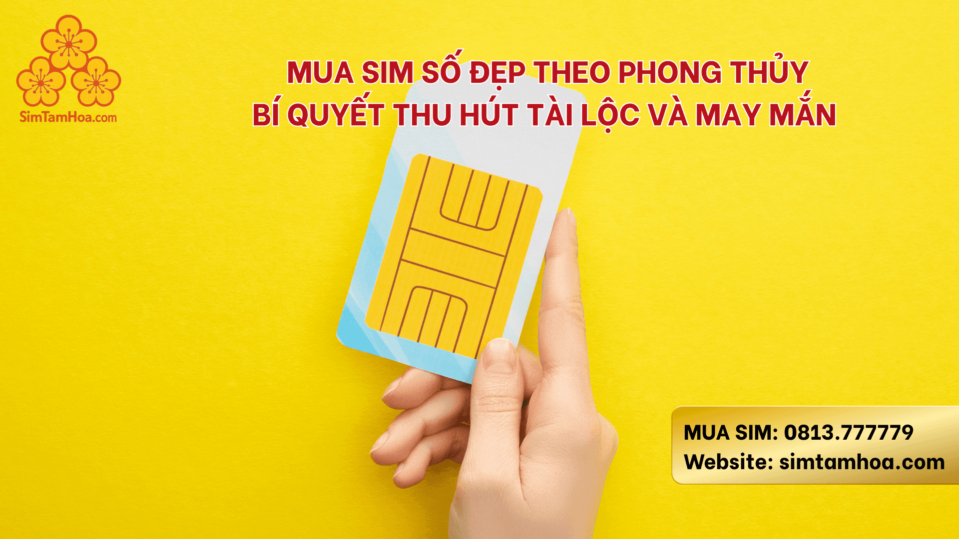 Mua sim số đẹp theo phong thủy – Bí quyết thu hút tài lộc và may mắn