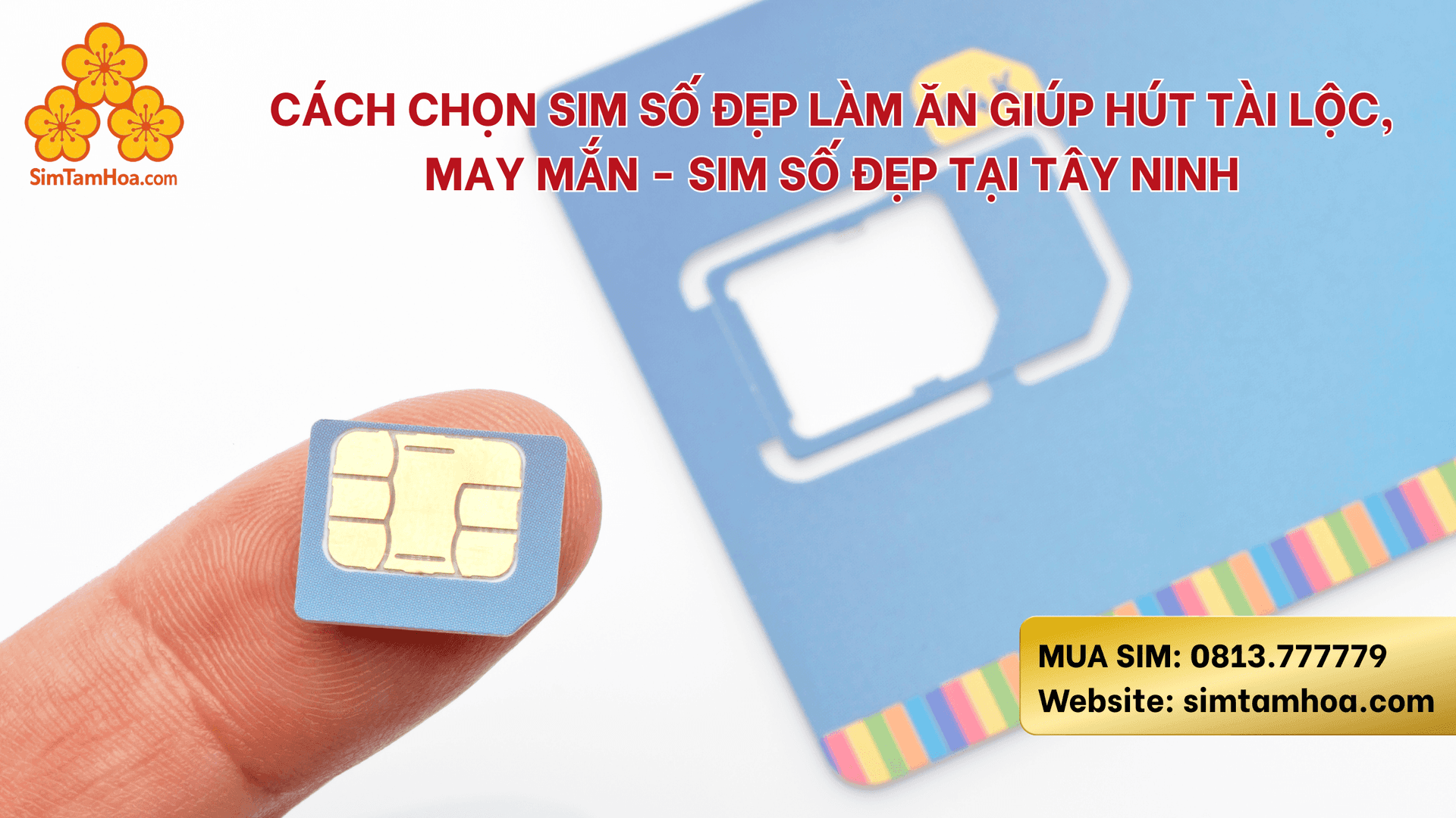 Cách chọn sim số đẹp làm ăn giúp hút tài lộc, may mắn - Sim số đẹp giá rẻ tại Long An