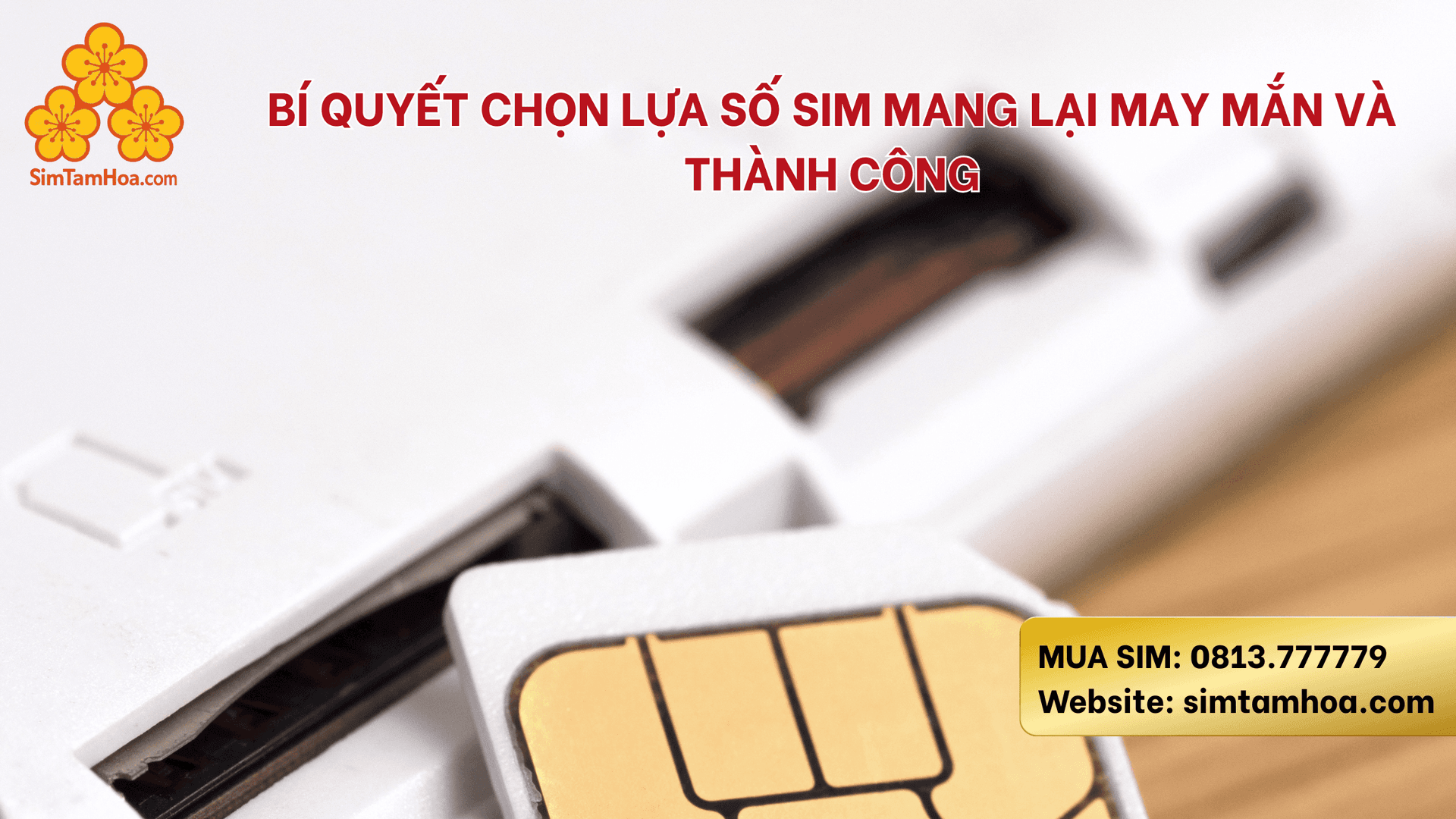 Bí Quyết Chọn Lựa Số Sim Mang Lại May Mắn Và Thành Công