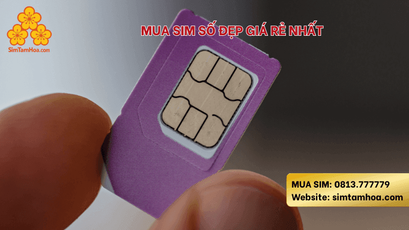 Mua sim số đẹp giá rẻ nhất