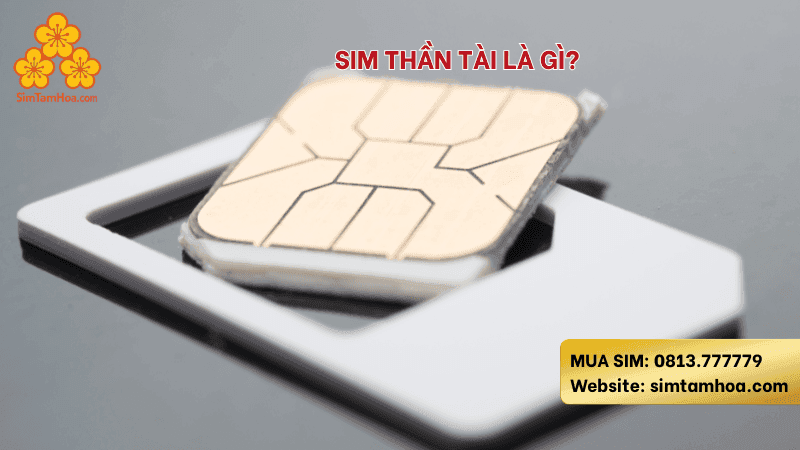 Mua Sim Thần Tài Tại Simtamhoa.com – Hút Lộc, Hút Tài, Mở Rộng Cung Đường Phát Triển