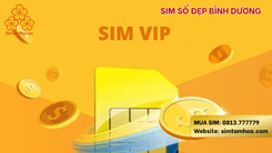 Sim Số Đẹp Bình Dương – Chìa Khóa Phát Tài Phát Lộc Từ Những Con Số