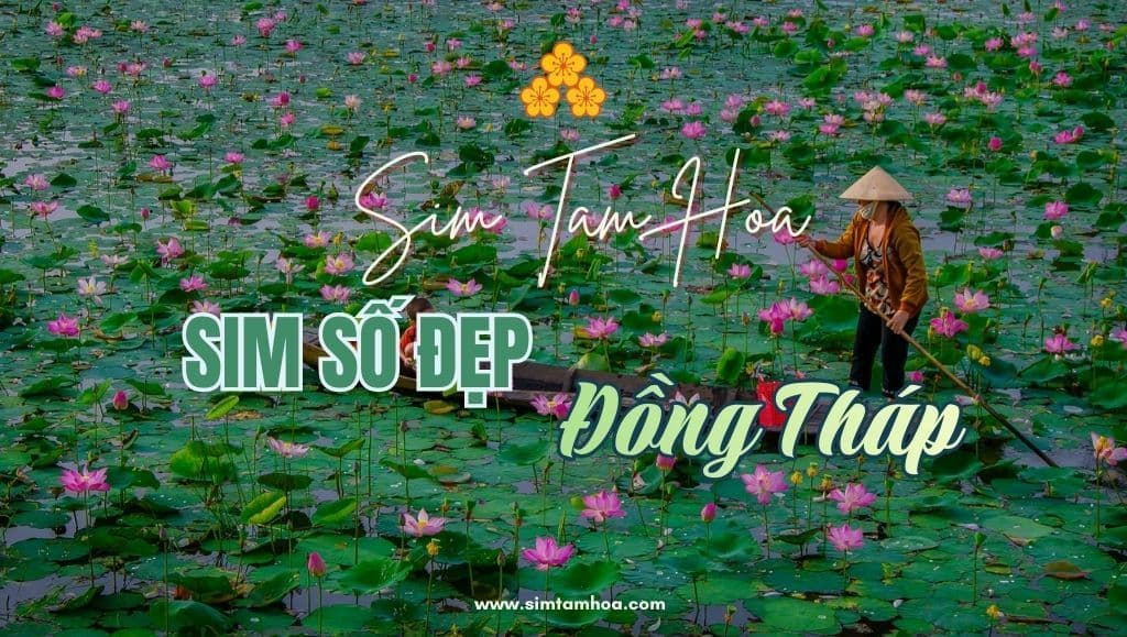 Người dân Đồng Tháp và nét văn hóa đặc trưng trong việc lựa chọn sim số đẹp