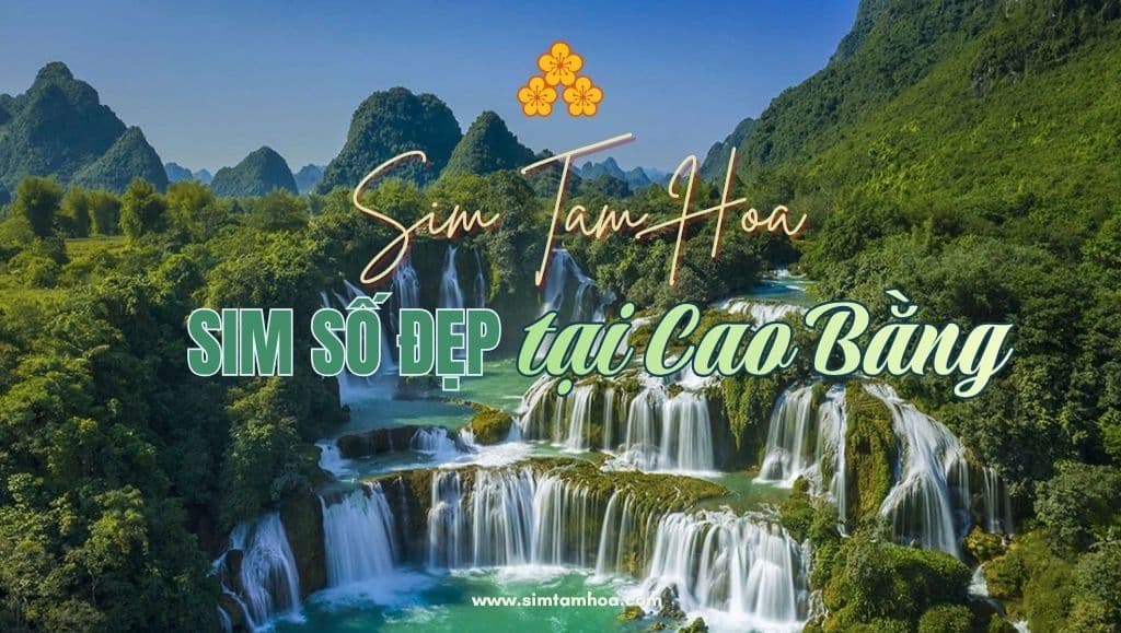 Chi Tiết Thủ Tục Mua Và Đăng Ký Sim Số Đẹp Chính Chủ Tại Cao Cao Bằng