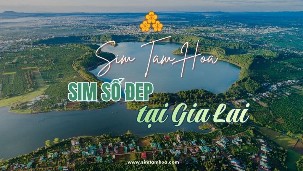 Bỏ Túi Bí Quyết Chọn Sim Số Đẹp Phong Thủy Tại Gia Lai Vừa “Hời” Vừa Uy Tín