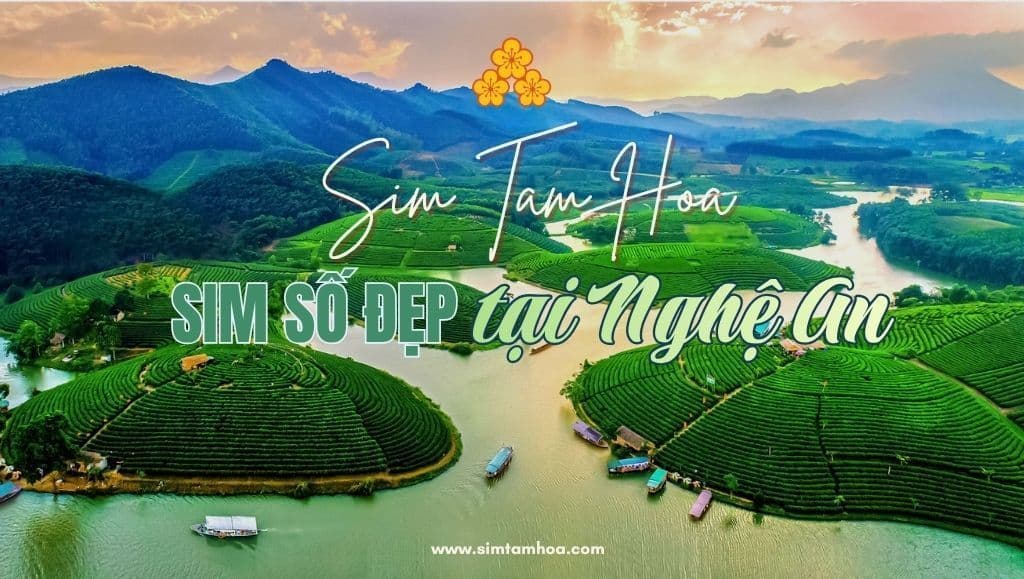 Khám Phá Thị Trường Sim Số Đẹp Tại Nghệ An Cùng chuyên Gia Sim Tam Hoa