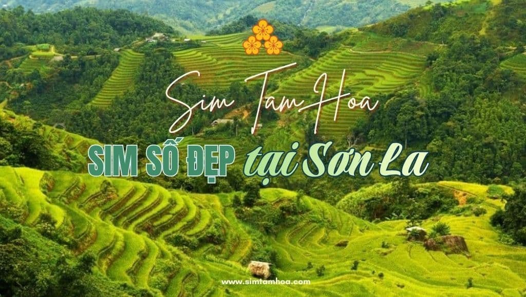 Bỏ Túi Bí Quyết Chọn Sim Số Đẹp Tại Sơn La Hợp Phong Thủy, Thu Hút Tài Vận