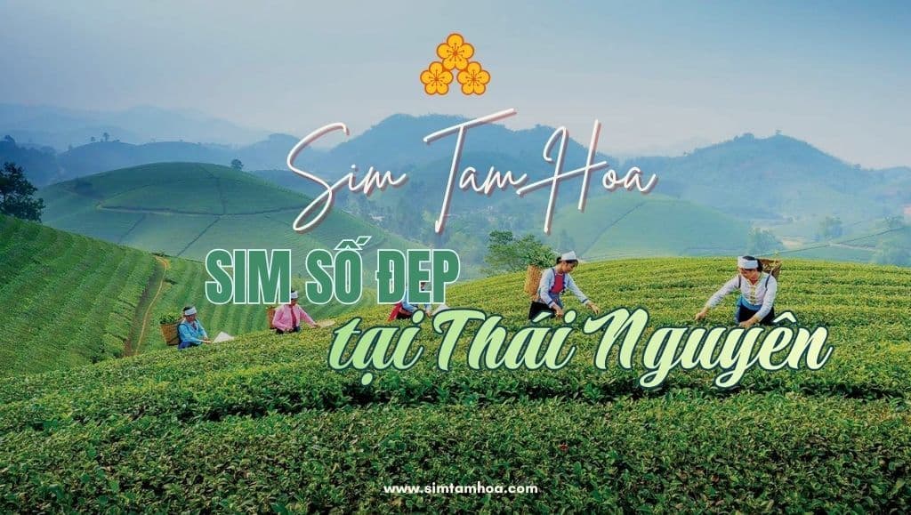 Bật Mí Kinh Nghiệm Chọn Sim Số Đẹp Tại Thái Nguyên Phù Hợp Với Từng Người