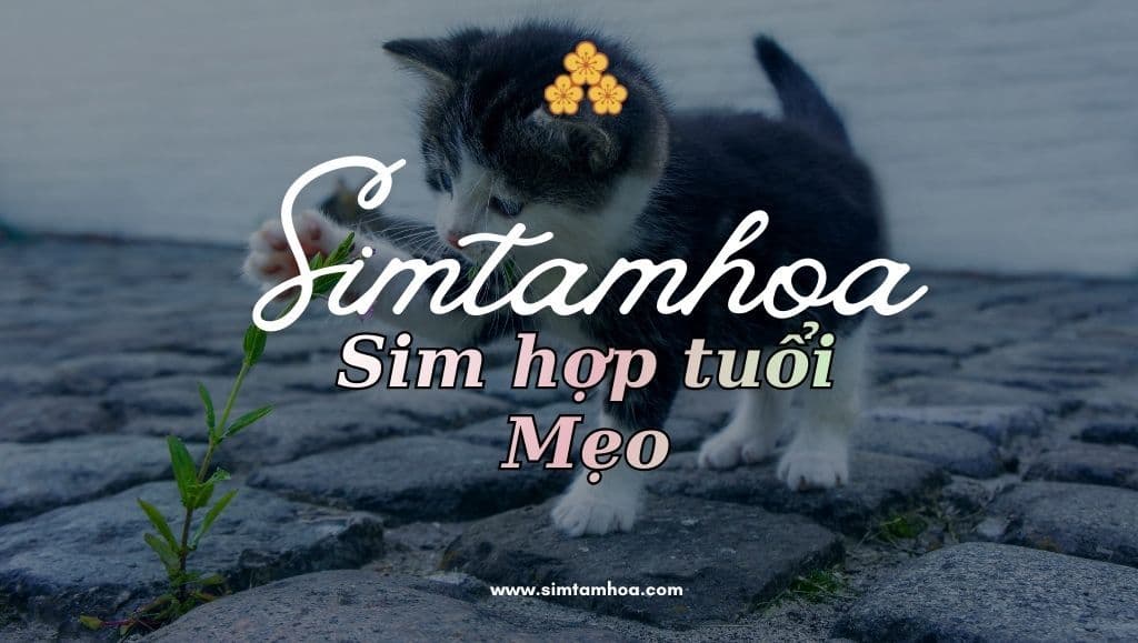 Bí Quyết Chọn Đúng Dãy Số Sim Hợp Tuổi Mẹo Để May Mắn Cho Năm Mới