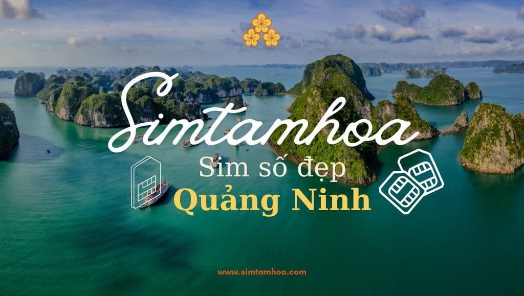 Top Bí Kíp Mua Sim Số Đẹp Tại Quảng Ninh Giúp Tài Lộc Vượng, Công Danh Thăng Tiến