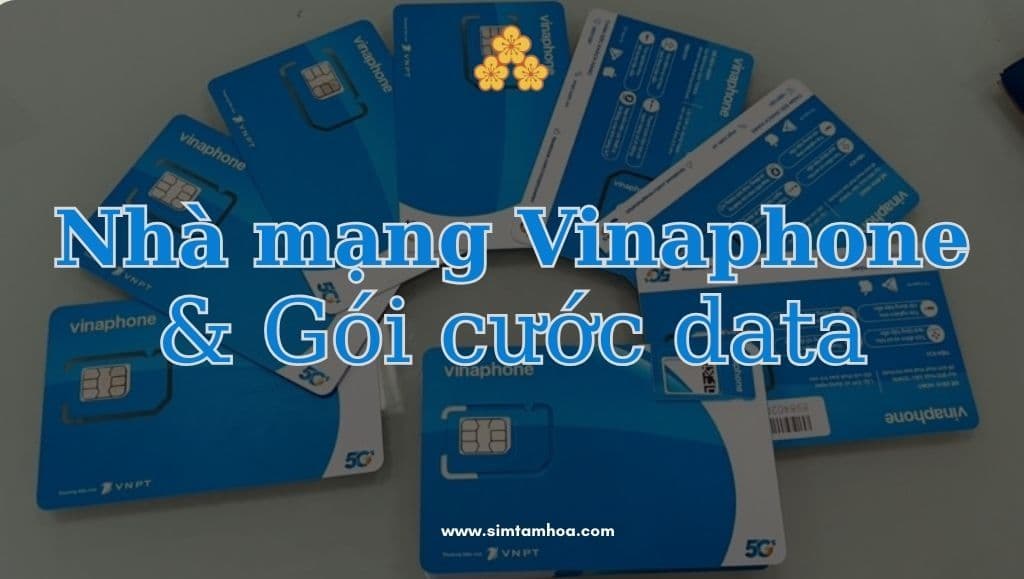 Muốn dùng mạng mượt cả ngày? Những điều cần biết về nhà mạng Vinaphone & gói cước data