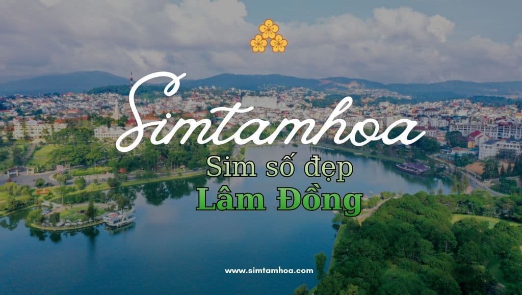 Bỏ Túi Bí Quyết Chọn Sim Số Đẹp Lâm Đồng Hợp Phong Thủy Và Mang Lại Tài Lộc