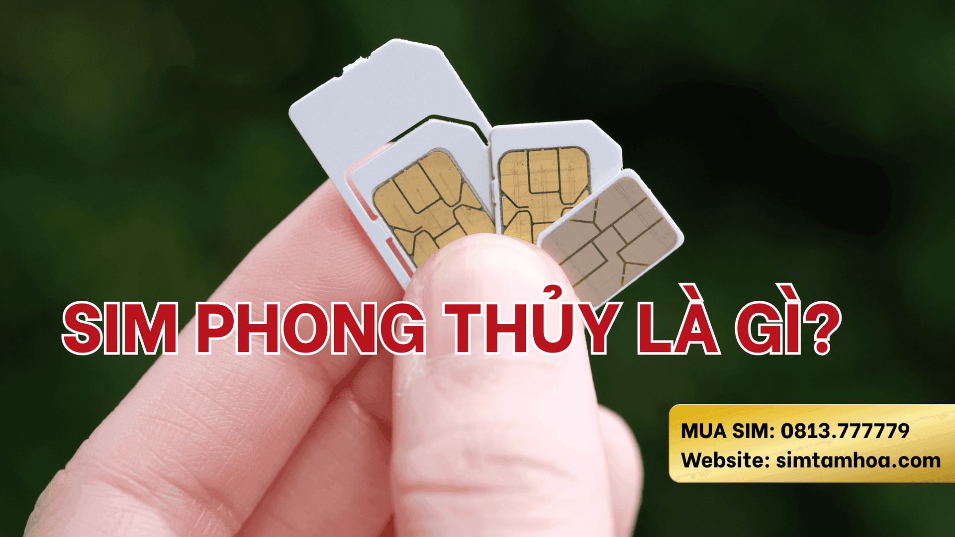 Sim Phong Thủy Có Thực Sự Mang Lại May Mắn Không?