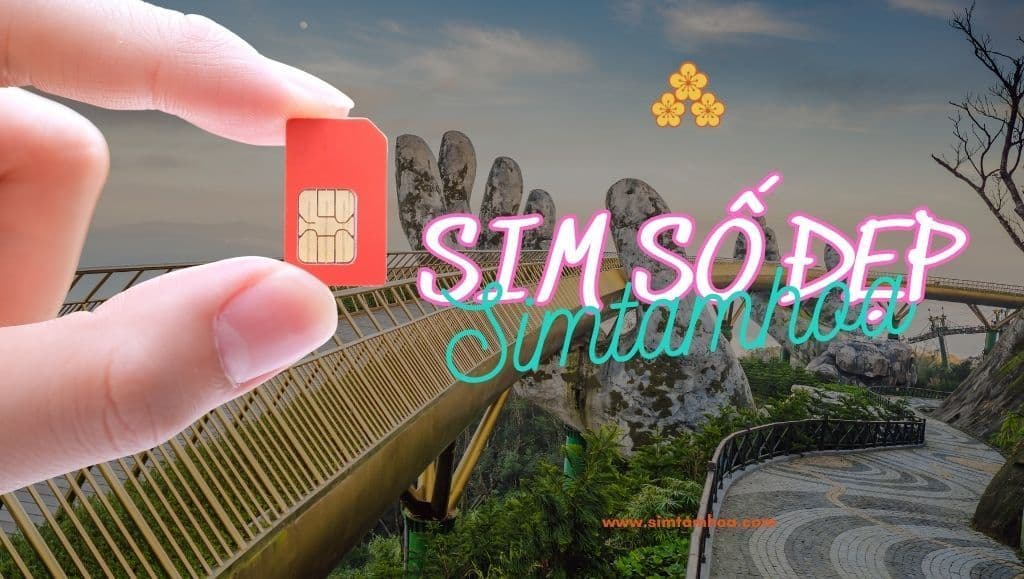 Top Cách Mua Sim Số Đẹp Tại Đà Nẵng Phù Hợp Nhu Cầu