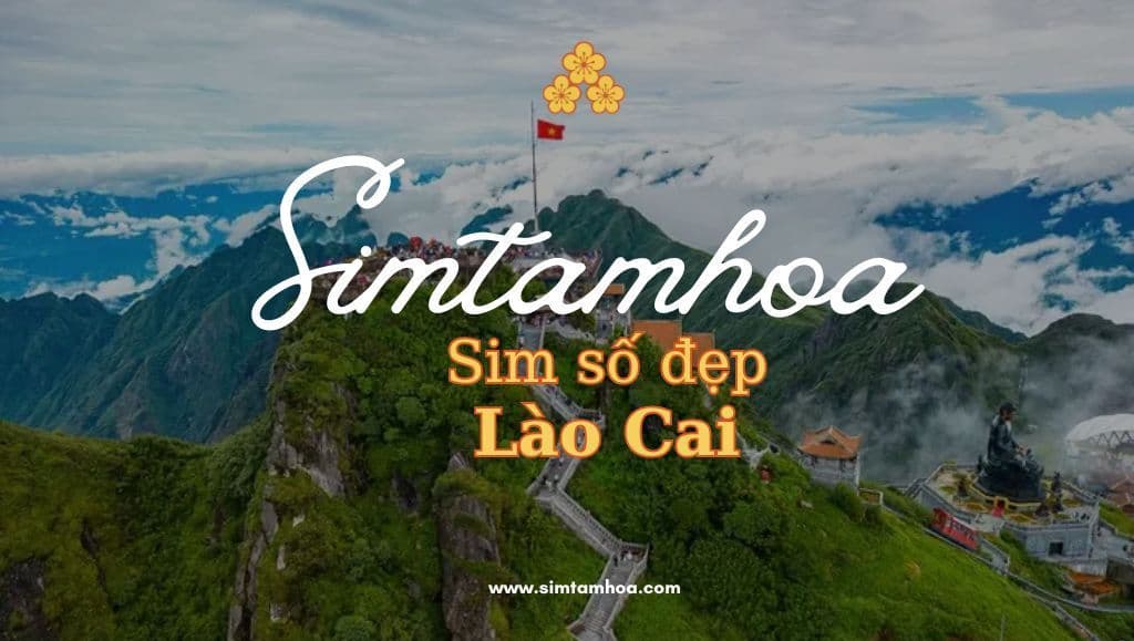 Những Điều Cần Biết Khi Mua Sim Số Đẹp Tại Lào Cai
