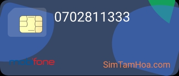 0702811333