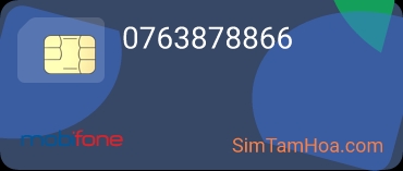 0763878866