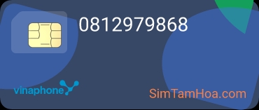 0812979868