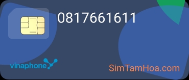 0817661611