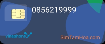 0856219999