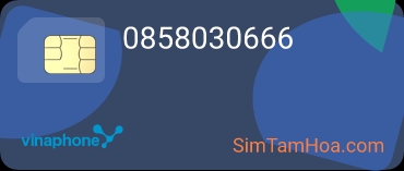 0858030666