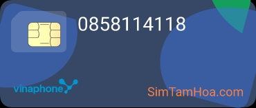 0858114118