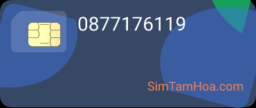 0877176119