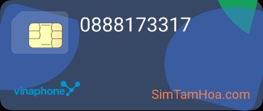 0888173317
