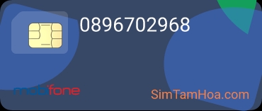 0896702968