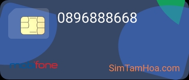 0896888668