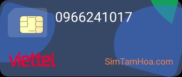 0966241017